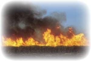Feuer in Kroatien