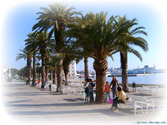 Die Riva in Split Kroatien